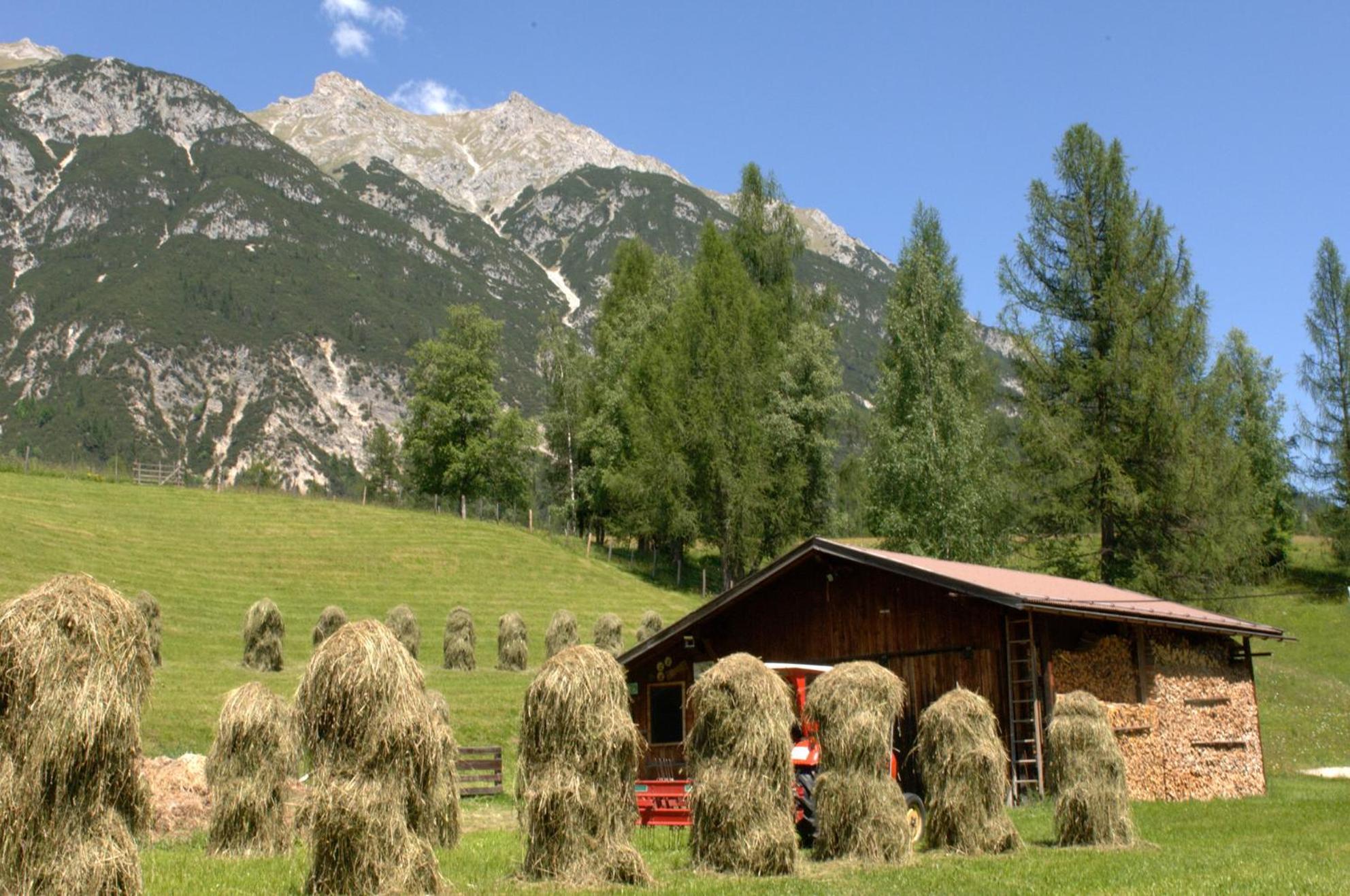 Haus Elisengrund Am Geigenbuehel - Chalet Prive Seefeld in Tirol Extérieur photo